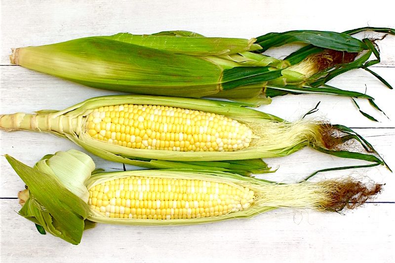 Corn On The Cob